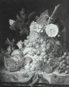 Roses, Plums, Grapes, Apricotspeaches, Raspberries, And A   Pomegranate With Two Butterflies On A Ledge by Jan van Os