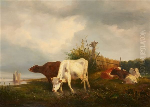 Grazing Cattle - view 1