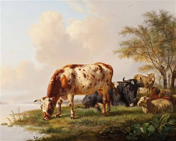Cows And Sheep Along The Water's Edge - view 1