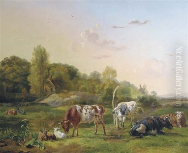 Cattle In A Meadow On A Lazy Summer's Day - view 1