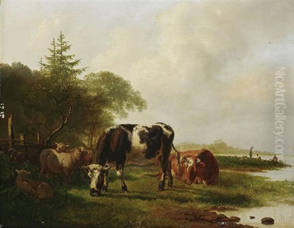 Kuhe Und Schafe Auf Der Uferweide - view 1