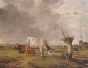 Hollandische Polderlandschaft Mit Weideren Kuhen