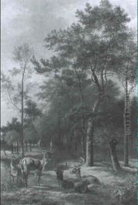 Hirsche Am Waldrand
