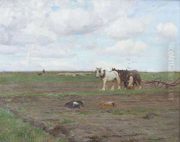 Ploughing, C - view 1