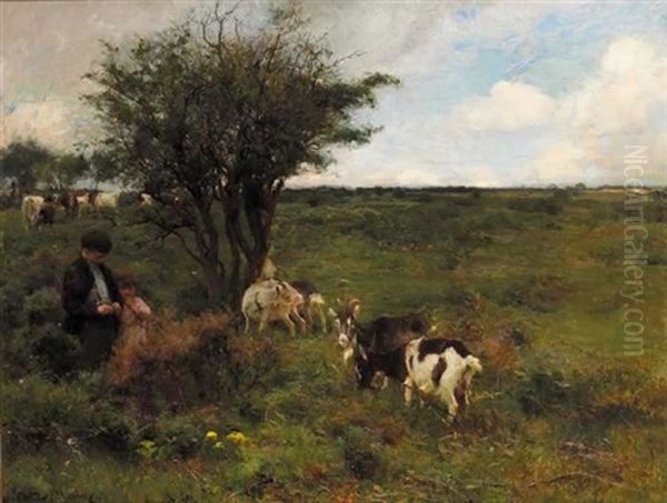 The Thornbush - view 1