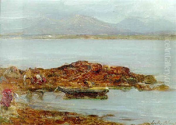 Connemara Landscape; Gathering Wrack, Galway Bay With The Twelve Pins In The Distance - view 1