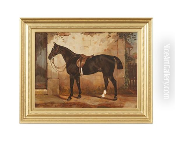 Bay Hunter In A Stable Yard - view 1
