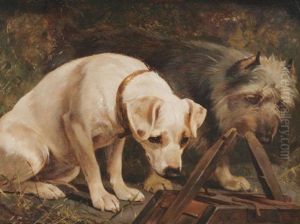 Two Dogs In A Barn