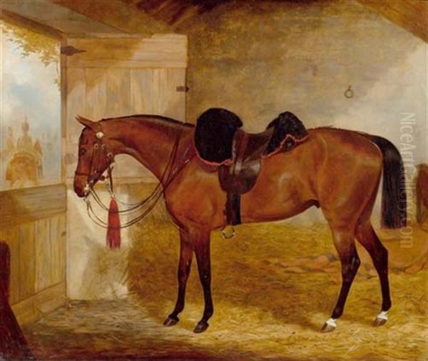 Pferd Im Stall Mit Blick Auf Castelwood Avenue, Rothmines, Dublin - view 1