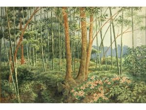Untitled (bamboo Forest)