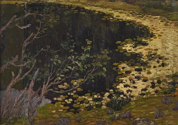 Nackrosdamm - view 1