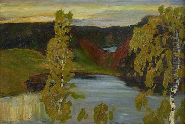 Vy Fran Nordingra Med I Forgrunden Bjorkar - view 1