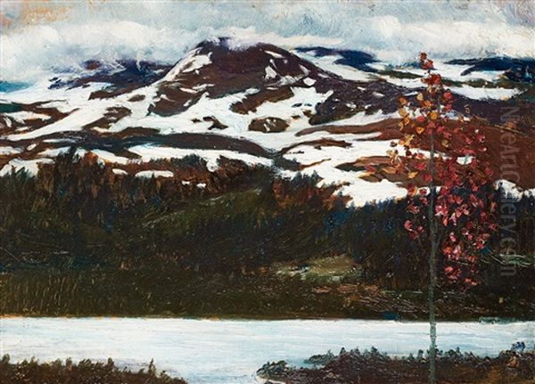 Northern Landscape In Autumn - view 1