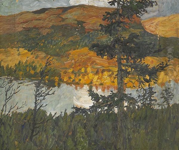Mullfjallet, Jamtland - view 1