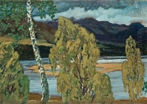 Sommar I Dufed by Helmer Osslund