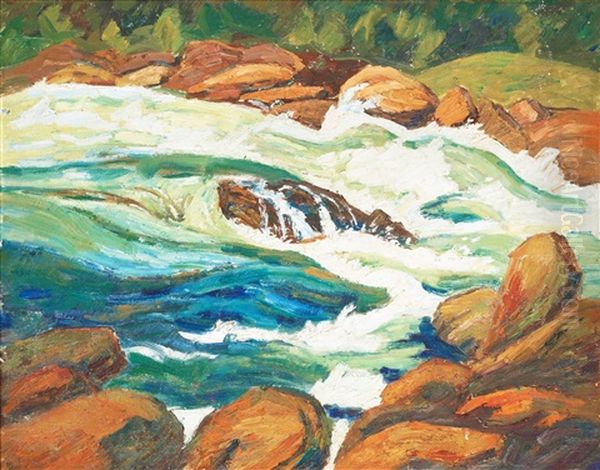 Fallforsen - view 1