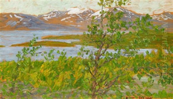 Sommarnatt Vid Tornetrask - view 1