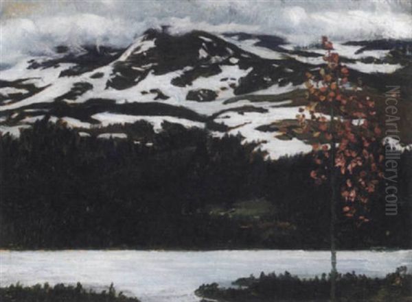 Norrlandskt Vinterlandskap - view 1