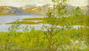 Sommarnatt Vid Torne Trask