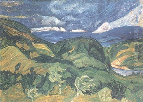 Blasig Sommardag - view 1
