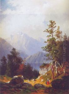 Blick Von Erhohter Warte Auf Den Kochelsee
