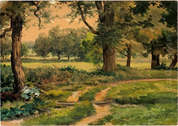 Landscape - view 1