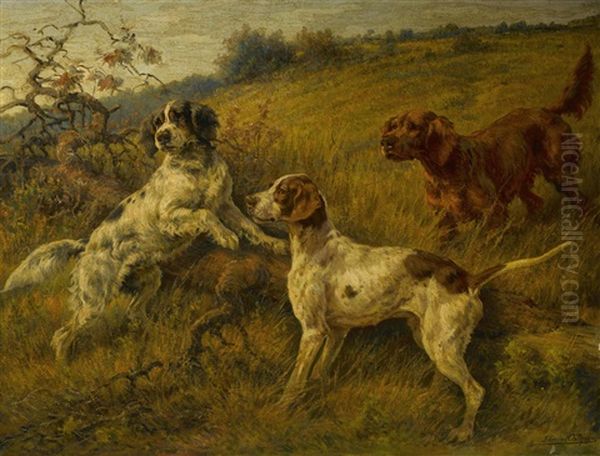 Setters And A Pointer In A Landscape - view 1