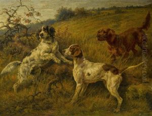 Setters And A Pointer In A Landscape Setters And A Pointer In A Landscape