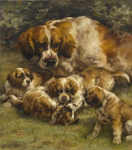 Setter Litter