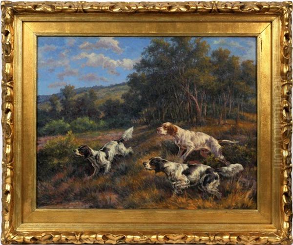 Three Irish Setters - view 1