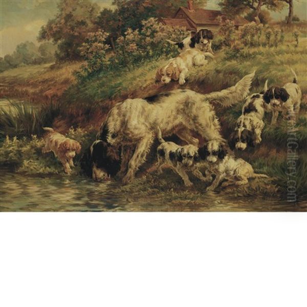 English Setter Drinking Along The Shore - view 1