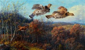 Grouse In Flight Grouse In Flight