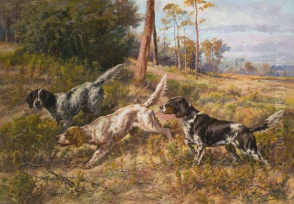English Setters In Field - view 1