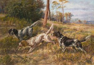 English Setters In Field