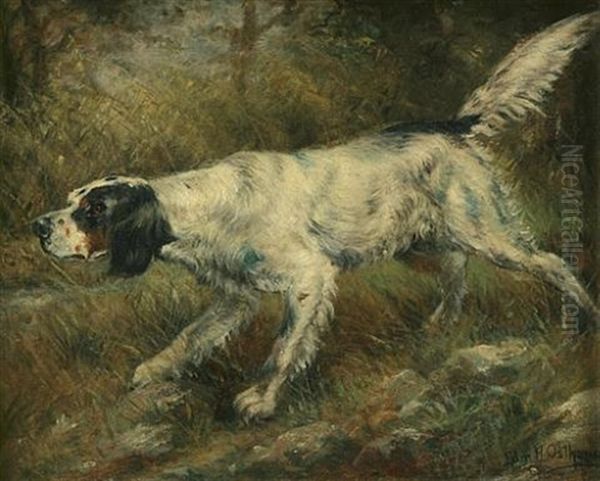 English Setter On Point - view 1
