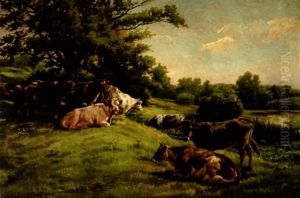 Cows Resting - Siesta Cows Resting - Siesta