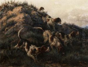 Dogs Hunting Prey Dogs Hunting Prey