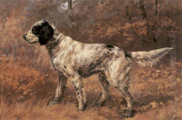 Setter In A Forest - view 1