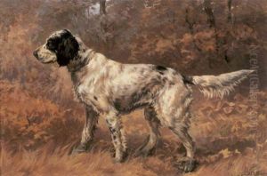 Setter In A Forest Setter In A Forest
