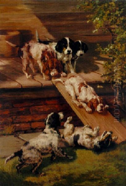 Down The Slide, English Setter Puppies Playing - view 1