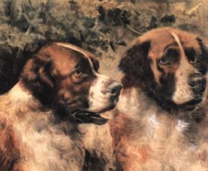 Pair Of Saint Bernards Pair Of Saint Bernards
