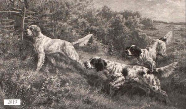 Three Hunting Dogs In Wooded Landscape - view 1