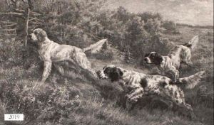 Three Hunting Dogs In Wooded Landscape by Edmund Henry Osthaus