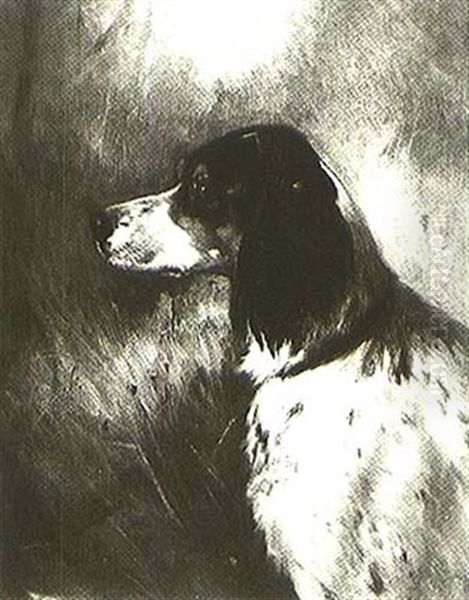Portrait Of An English Setter - view 1
