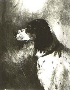 Portrait Of An English Setter by Edmund Henry Osthaus