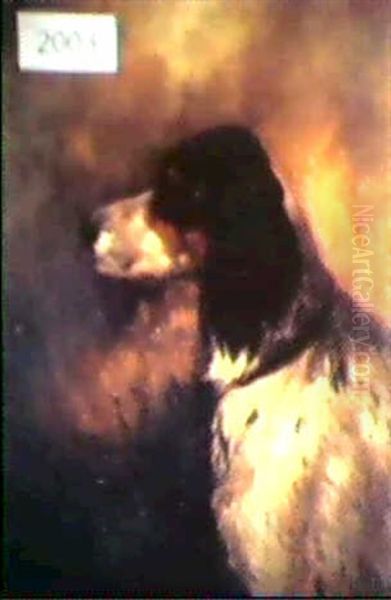 Portrait Of A Hunting Dog - view 1