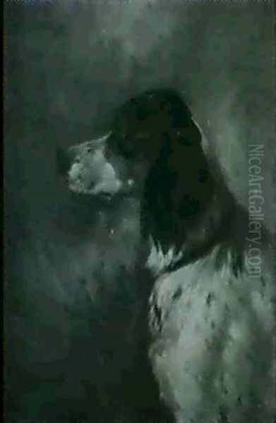 Profile Of A Dog - view 1