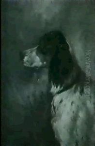 Profile Of A Dog Profile Of A Dog