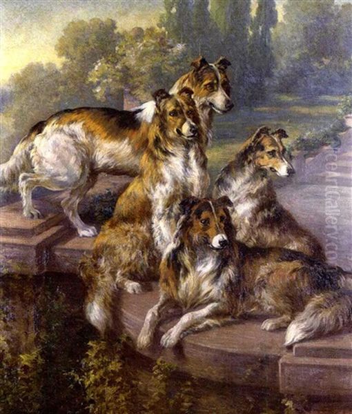 Collies In A Formal Garden - view 1