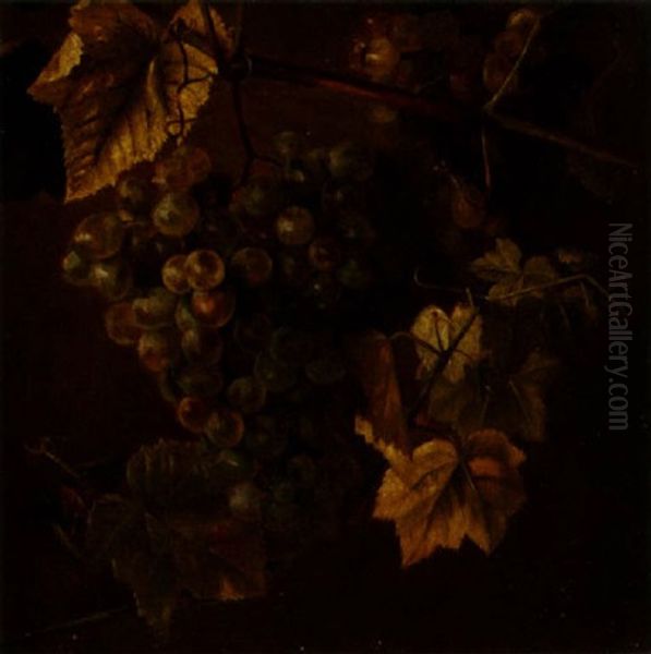Still Life With Grapes - view 1